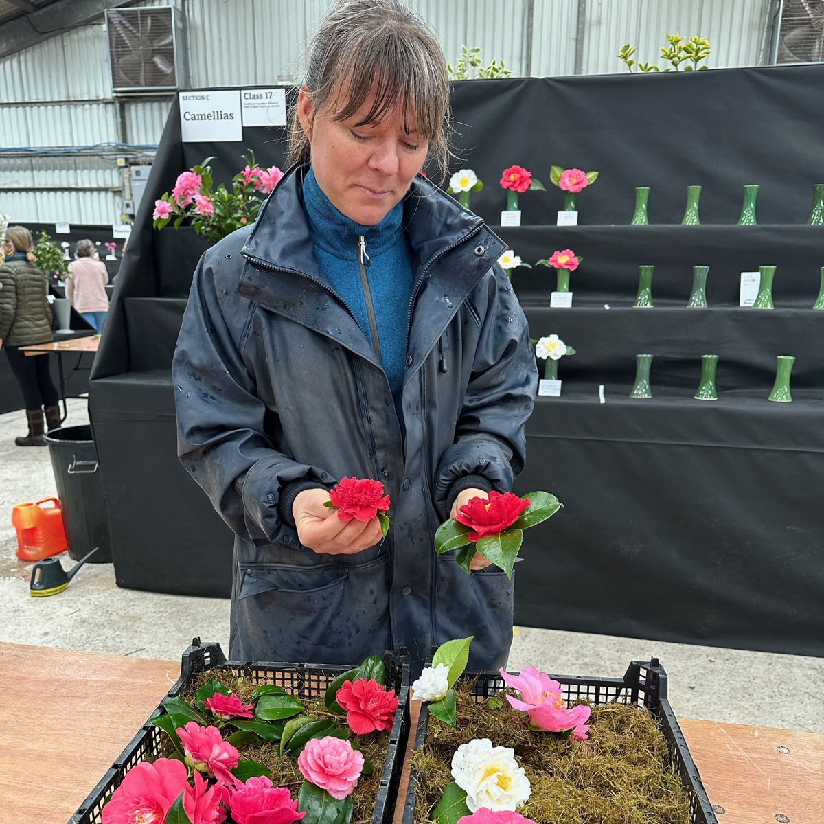 Cornwall Garden Society (@cwllgardensoc) on Twitter photo If you would like to ask anything about our Spring Flower Show at <a href="/RCornwallEvents/">Royal Cornwall Event</a> on Sat 6th and Sun 7th April, please visit buff.ly/3xoguv5 for our Frequently Asked Questions. The Show build commences on Easter Sunday and we can't wait to transform the space for you! If you would like to ask anything about our Spring Flower Show at <a href="/RCornwallEvents/">Royal Cornwall Event</a> on Sat 6th and Sun 7th April, please visit buff.ly/3xoguv5 for our Frequently Asked Questions. The Show build commences on Easter Sunday and we can't wait to transform the space for you!