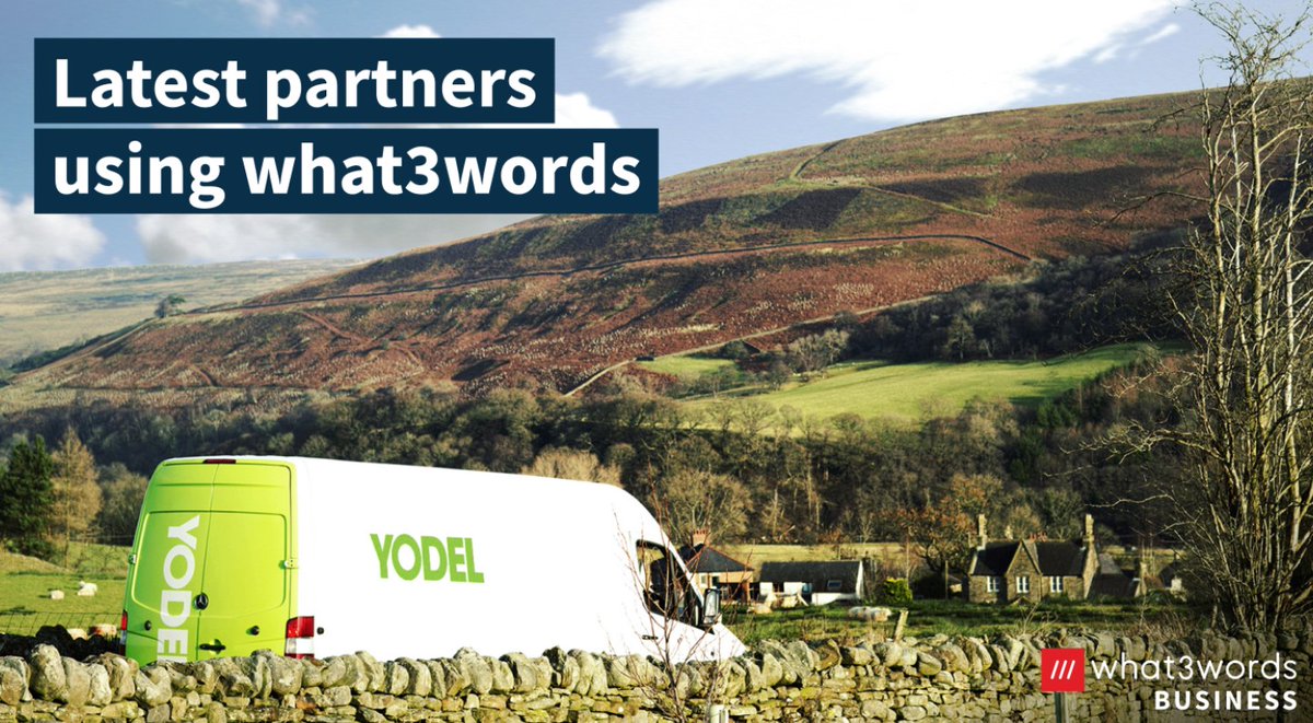 Wildcat VC tweet media