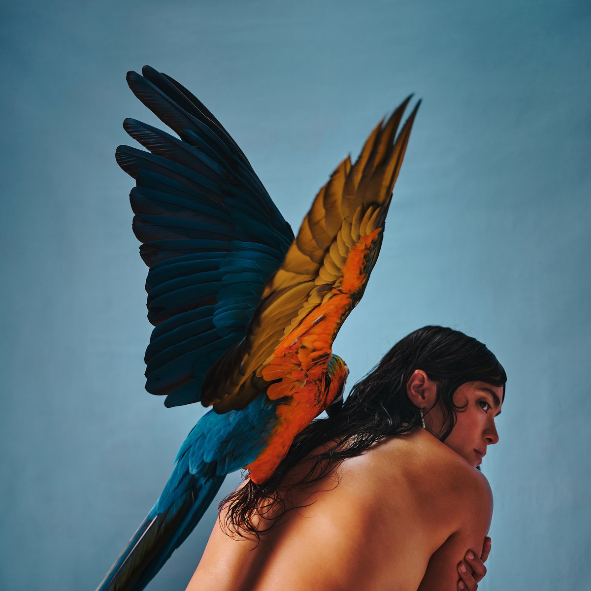 Happy release day to Reyna Tropical 🌙🌱

'Malegría' is out everywhere today!

🦜ffm.to/reynatropical