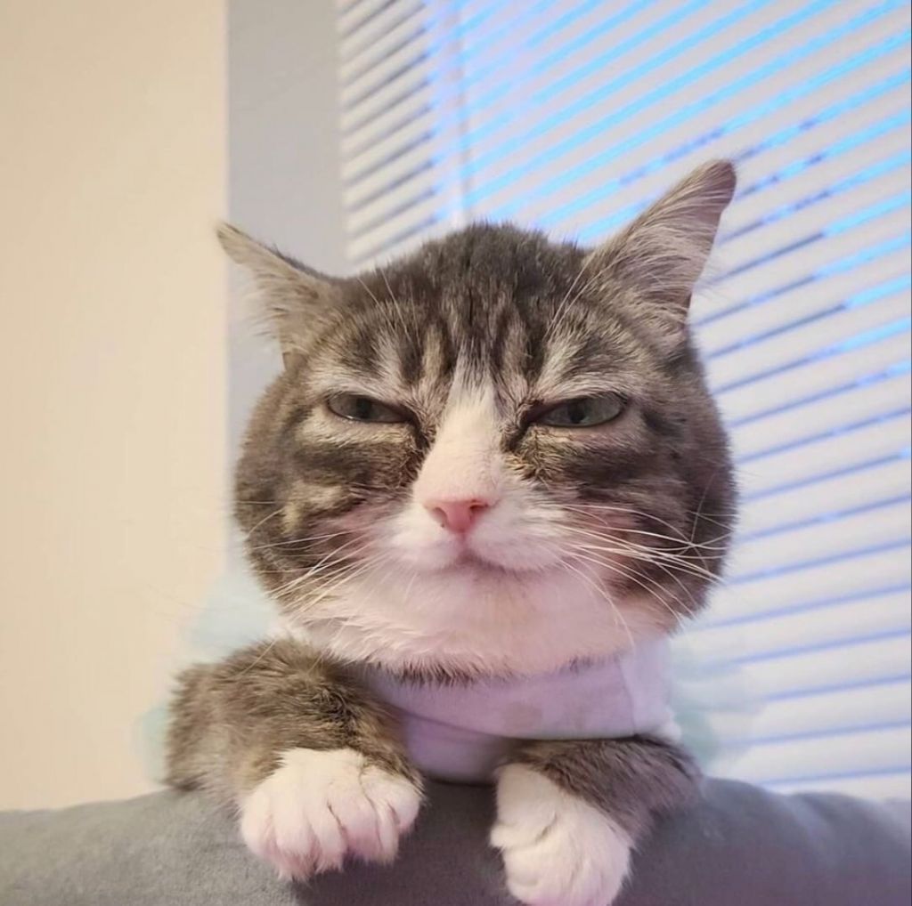 Emperor👑 tweet media