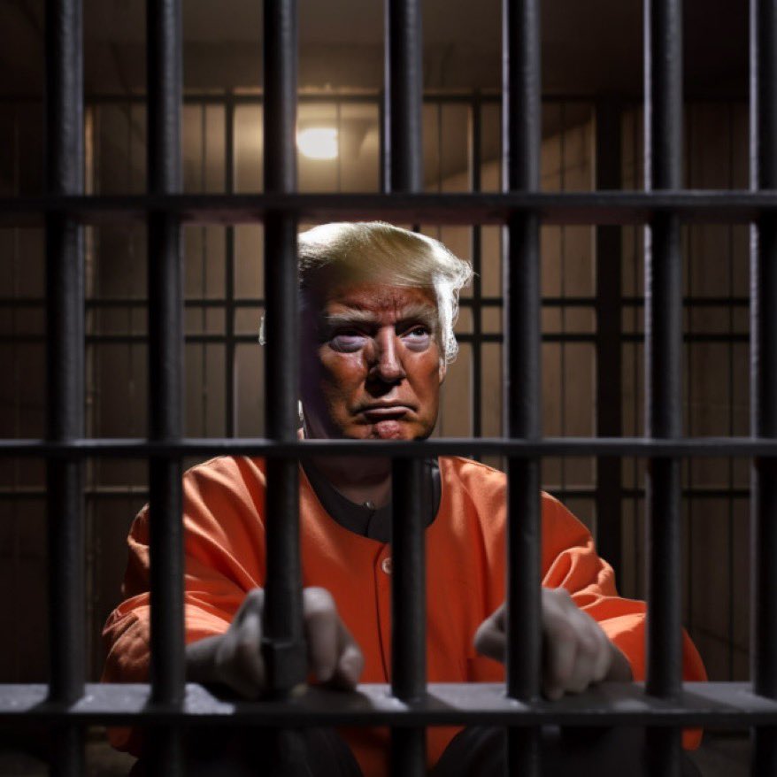 Trump doesn’t like pictures of himself in prison. That’s a shame!