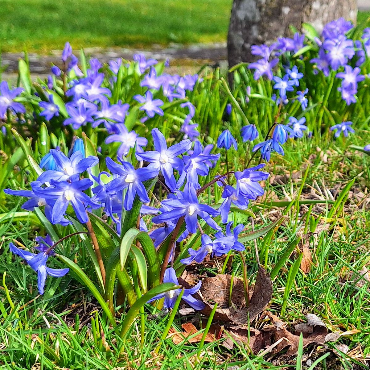 We wish all our users a happy Easter and exciting tournaments!