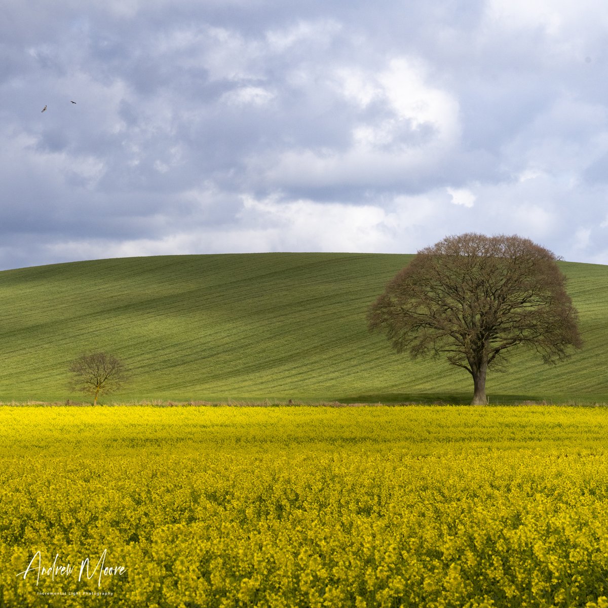 All seasons in one day  today, but you can find brightness if you look. Between Callow and Tram Inn Herefordshire.
<a href="/VisitDeanWye/">Visit the Forest of Dean & Wye Valley</a>
<a href="/visithfds/">Visit Herefordshire</a>
<a href="/visitglos/">Visit Gloucestershire</a>
@wyebeauty
<a href="/RamblersGB/">RamblersGB</a>
<a href="/RossonWyeTA/">RossonWyeTourism</a>
<a href="/PGLHerefords/">Herefordshire Freemasons</a>