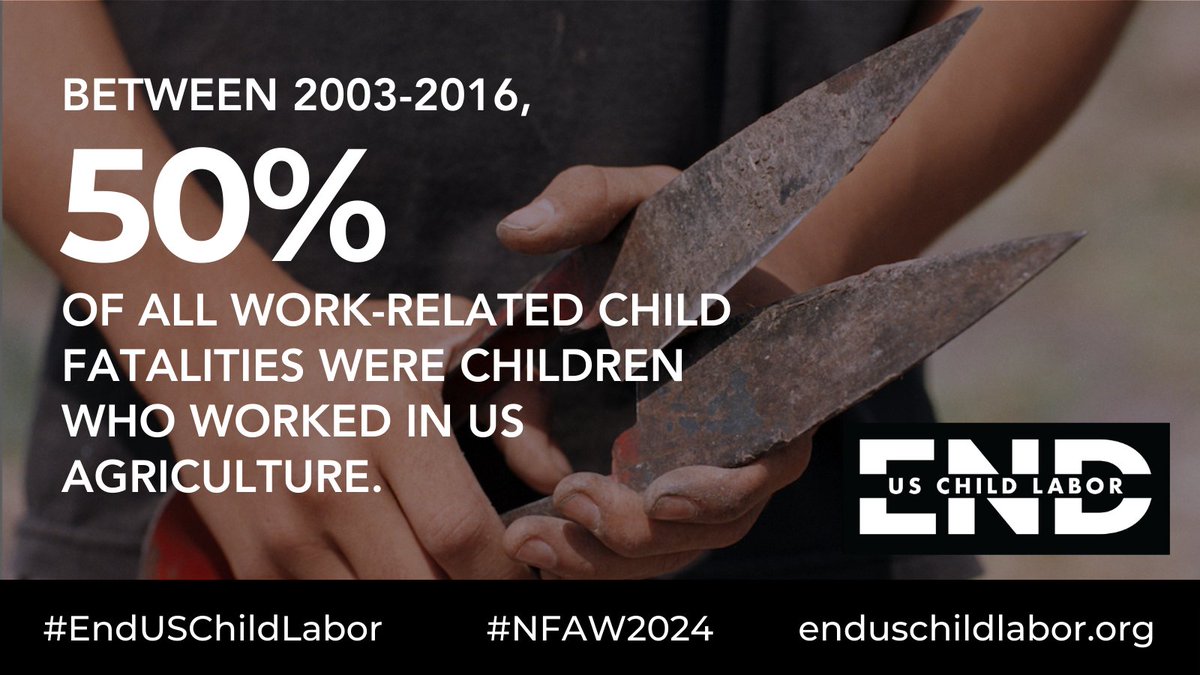Children working in #US agriculture are far more likely to be exposed to hazards leading to injuries, sickness, &amp; death. An estimated 300,000 children are toiling in our fields, putting their health &amp; lives at risk. #NFAW2024 #EndUSChildLabor