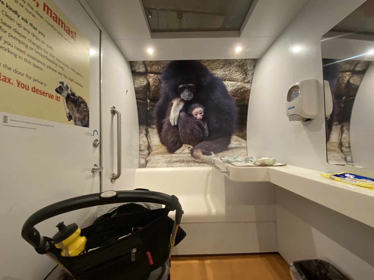 Brittany Smith tweet media