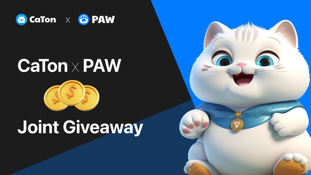 ⚡️Quick paws get the prize!⚡️
First 1000 participants will enjoy a share of 20K $PAW Giveaways!
🔥Join now
1️⃣ Follow, RT &amp; @ 1 friend +Drop Ton address
2️⃣ Join t.me/catonofficial &amp; t.me/caton_chat&amp; t.me/paw_community
3️⃣ Fill in the form forms.gle/4PYpJoFtYAjJPF…