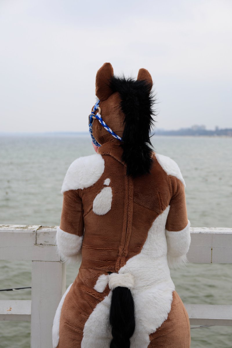 Waiting for the new weekend ^^ #FursuitFriday
photo - Deroo