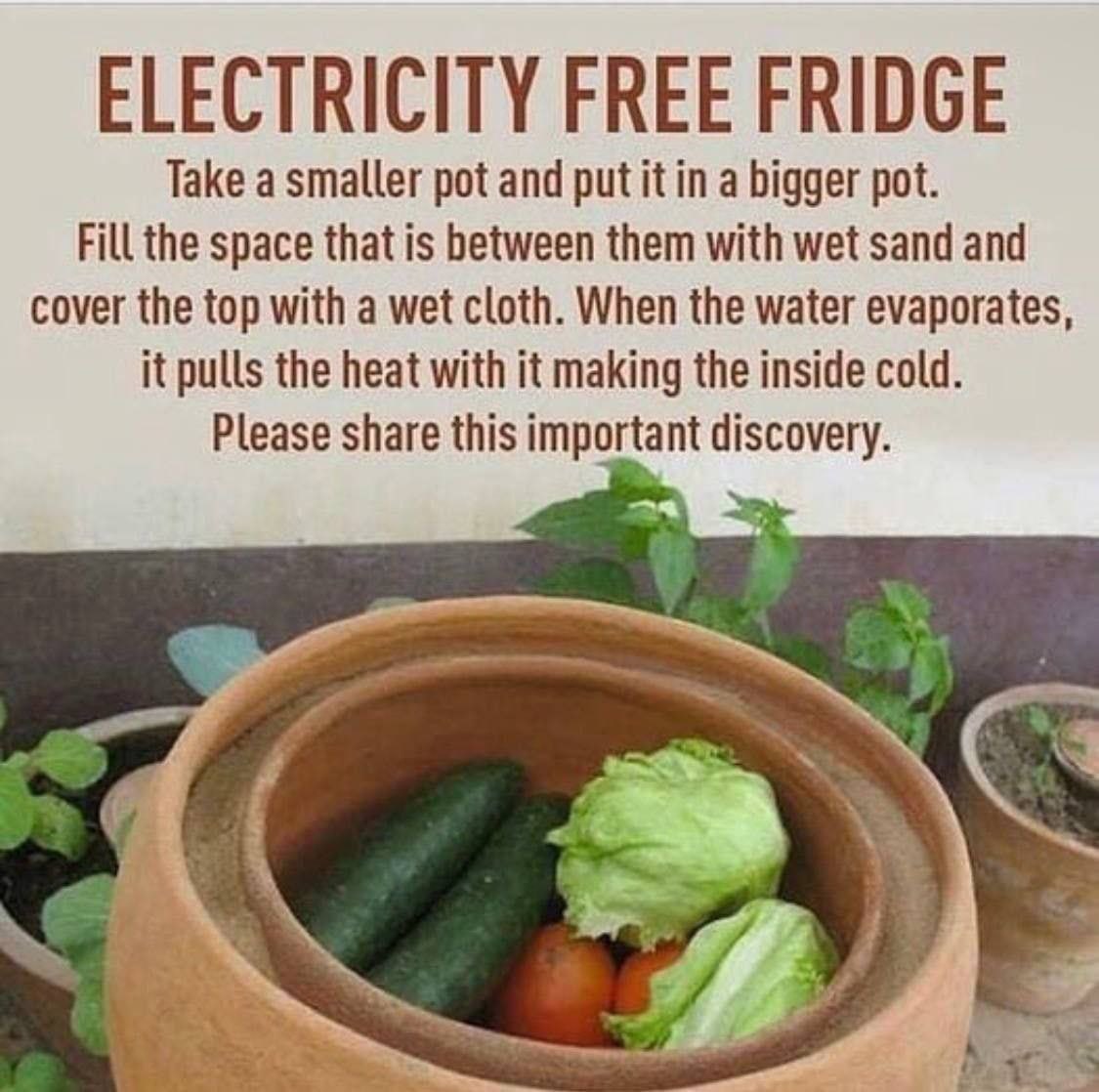 Conspiracy Gardener Homestead (@daysofnoahgen6) on Twitter photo 