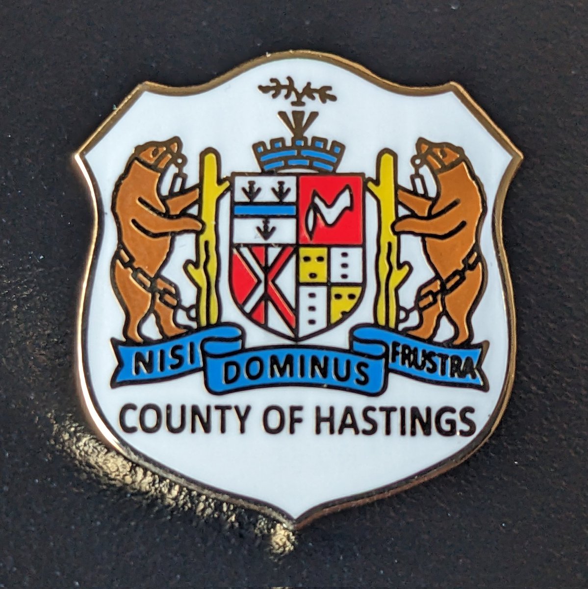 Hastings was named by Henry Fowlds who named the area around his grist it after Flora Muir Campbell British aristocrat Francis Rawdon-Hastings. 

#PinQuestON #onmuni #ontario #canada #onheritage #placenames #hastings @HastingsCounty1