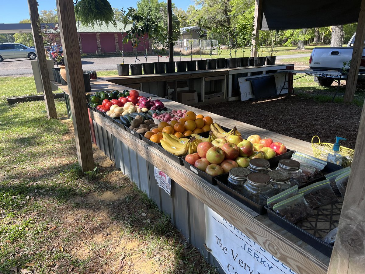 jonmtaggart's tweet photo. It is not the Santa Monica Farmers Market but it is mine @RockingTs 
#JapaneseMaples #CitrusTrees
#FreshProduce https://t.co/qK7HDt8L6r