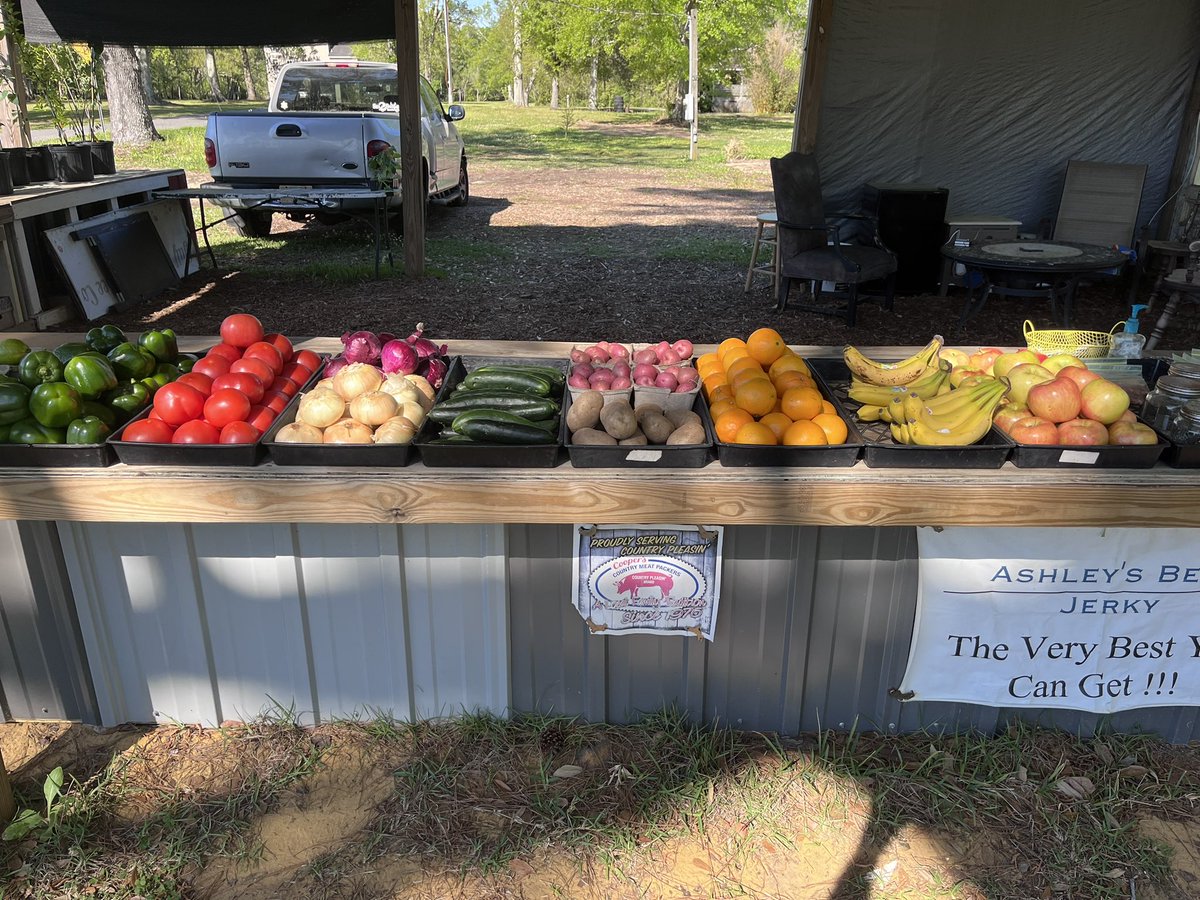 jonmtaggart's tweet photo. It is not the Santa Monica Farmers Market but it is mine @RockingTs 
#JapaneseMaples #CitrusTrees
#FreshProduce https://t.co/qK7HDt8L6r