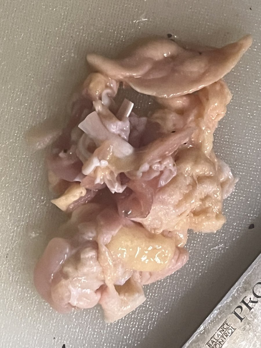 bemybabyyou's tweet photo. 今宵は、チキンのガリバタ醤油☺️
余分な脂肪(黄色い油)は全て切り落とした😆
旨みもあるけど...こう言う処理をしてるせいなのか...血液検査や尿検査で引っかかる事が無い😁...もう結構いい歳しなのだが… https://t.co/lDHXoHsaDJ