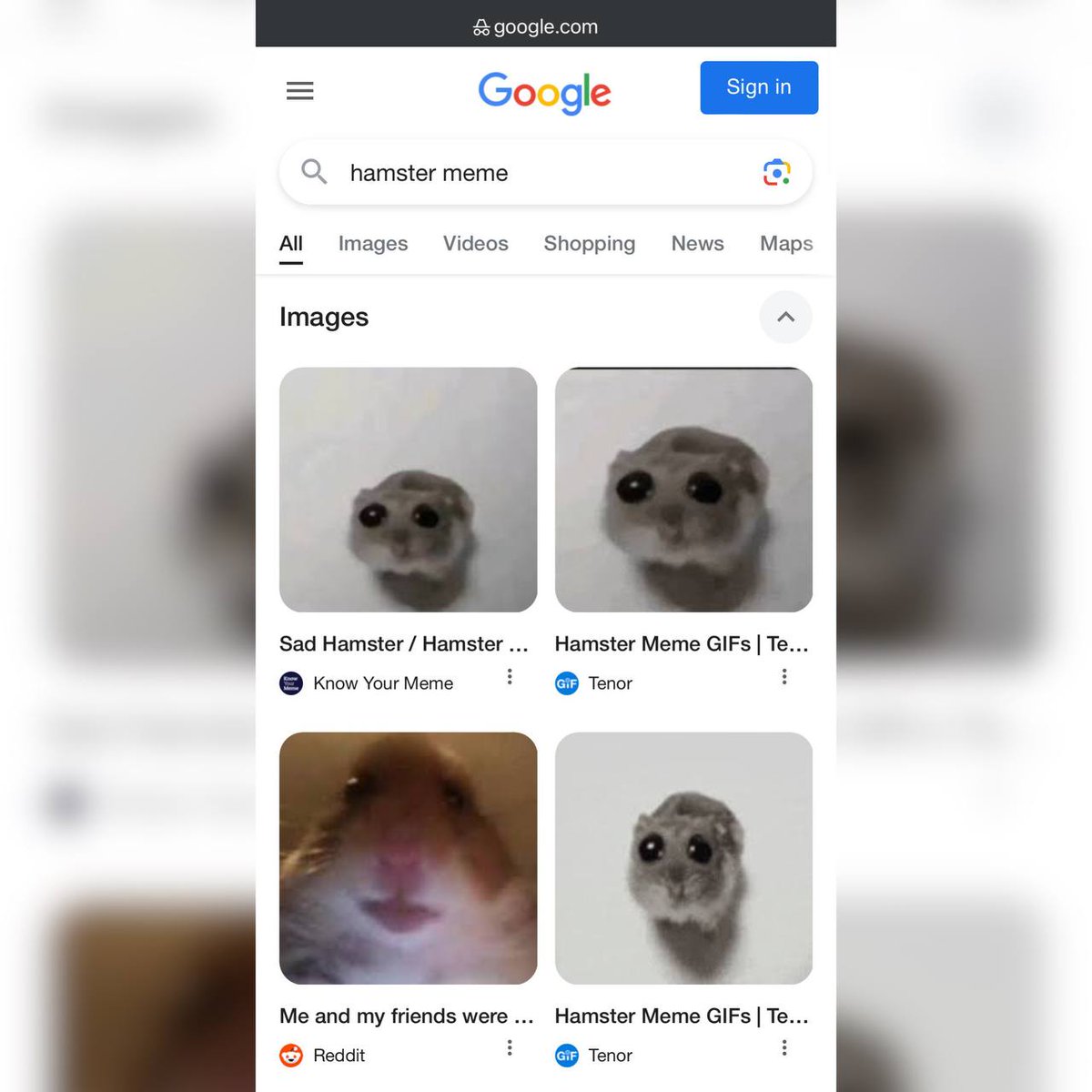I just checked Google, and $HAMMY is still more popular than $HAMI... $1M  market cap vs $28M market cap reprice the hamster memecoins with haste, it  must be the most obvious trade