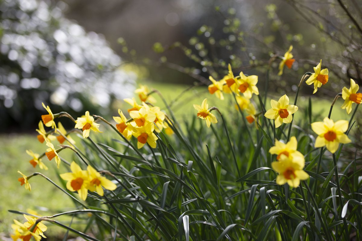 The university will close on Friday 29 March and reopen on Monday 8 April 2024. We hope you all have a great Easter break!🌻 For services and support available over the holidays, visit ulster.ac.uk/student/holida…