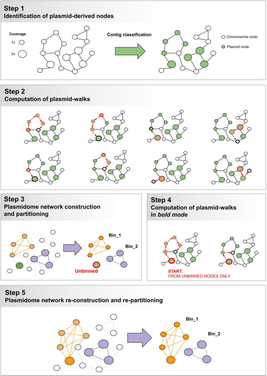 PlasmidEC and gplas2: an optimized short-read approach to predict and reconstruct antibiotic resistance plasmids in Escherichia coli. Read the full article in #MGen: doi.org/10.1099/mgen.0…