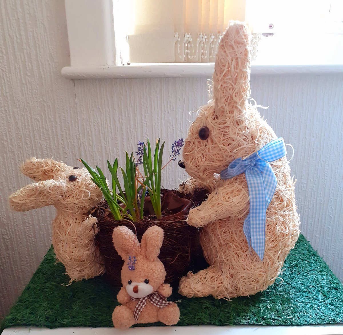 reddevil1975's tweet image. Some Bunny loves you! 🐰❤️🐰❤️#eastertime #easterfun #easterdecorations
