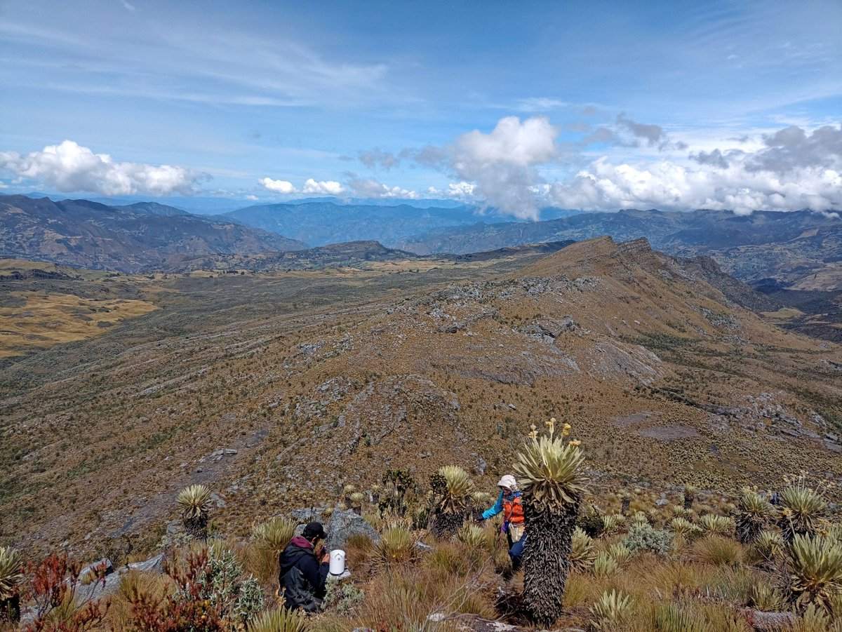 weADAPT (@weadapt1) on Twitter photo ⛰️ How can science-policy dialogues strengthen adaptation & #sustainabledevelopment in the #Andes?
📃 Learn more in this summary of the meeting between the Andean Mountain Initiative & the #Andes socio-environmental monitoring networks. <a href="/at_altitude/">Adaptation At Altitude</a>
bit.ly/3IX6k7p ⛰️ How can science-policy dialogues strengthen adaptation & #sustainabledevelopment in the #Andes?
📃 Learn more in this summary of the meeting between the Andean Mountain Initiative & the #Andes socio-environmental monitoring networks. <a href="/at_altitude/">Adaptation At Altitude</a>
bit.ly/3IX6k7p
