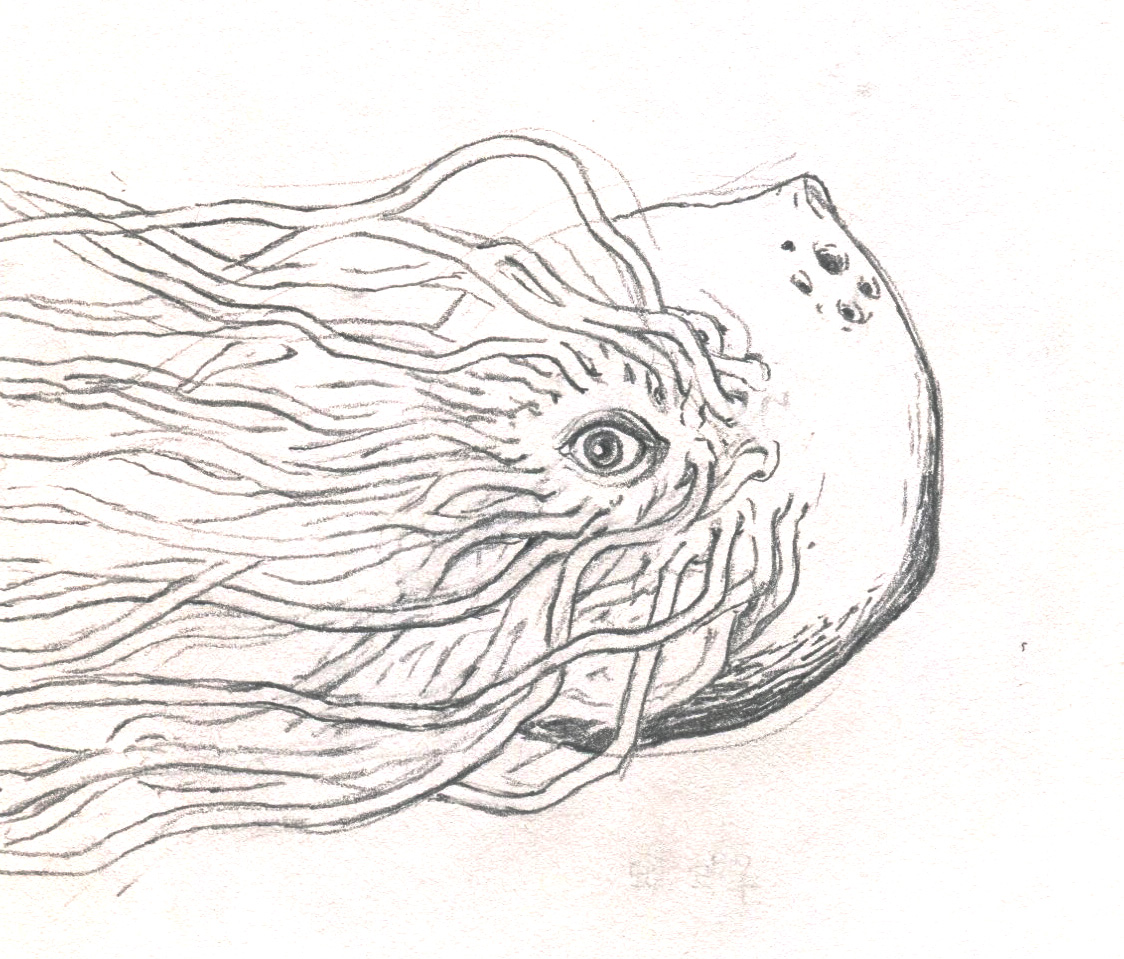 daankei99's tweet image. 