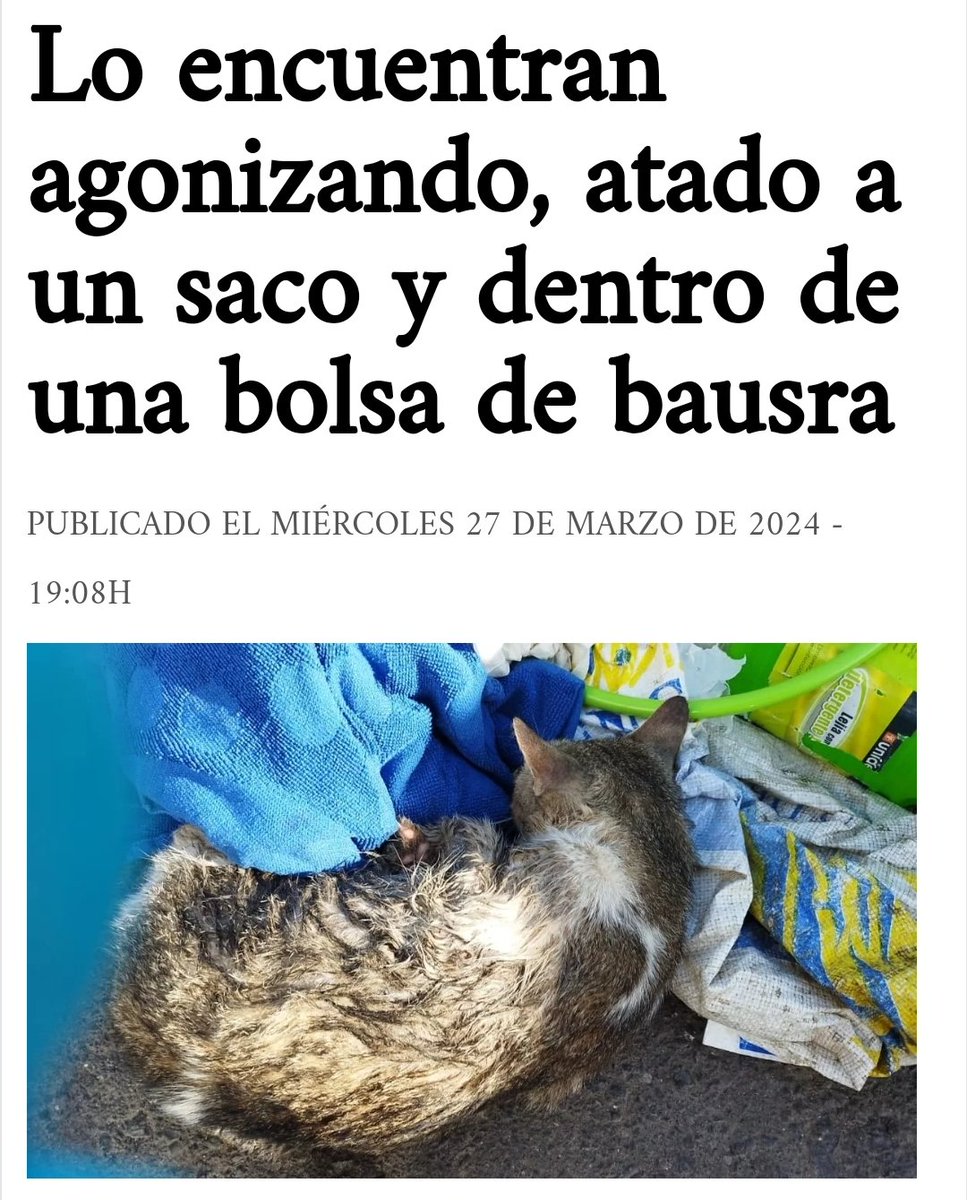 Lanzarote. 2024.
