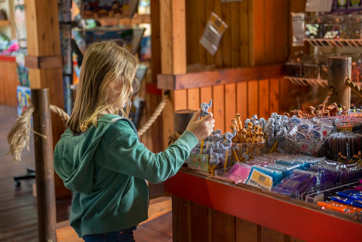 Don't let the drizzle dampen your fun! ☔

Grab your raincoats and get ready for a WILD day out!
We have plenty of undercover areas to explore:
🚗 4-mile Safari Drive
🦎Indoor animal exhibits
🍔Indoor eateries
🎨Easter crafts inside our heated Pavillion

🎟️wmsp.co.uk