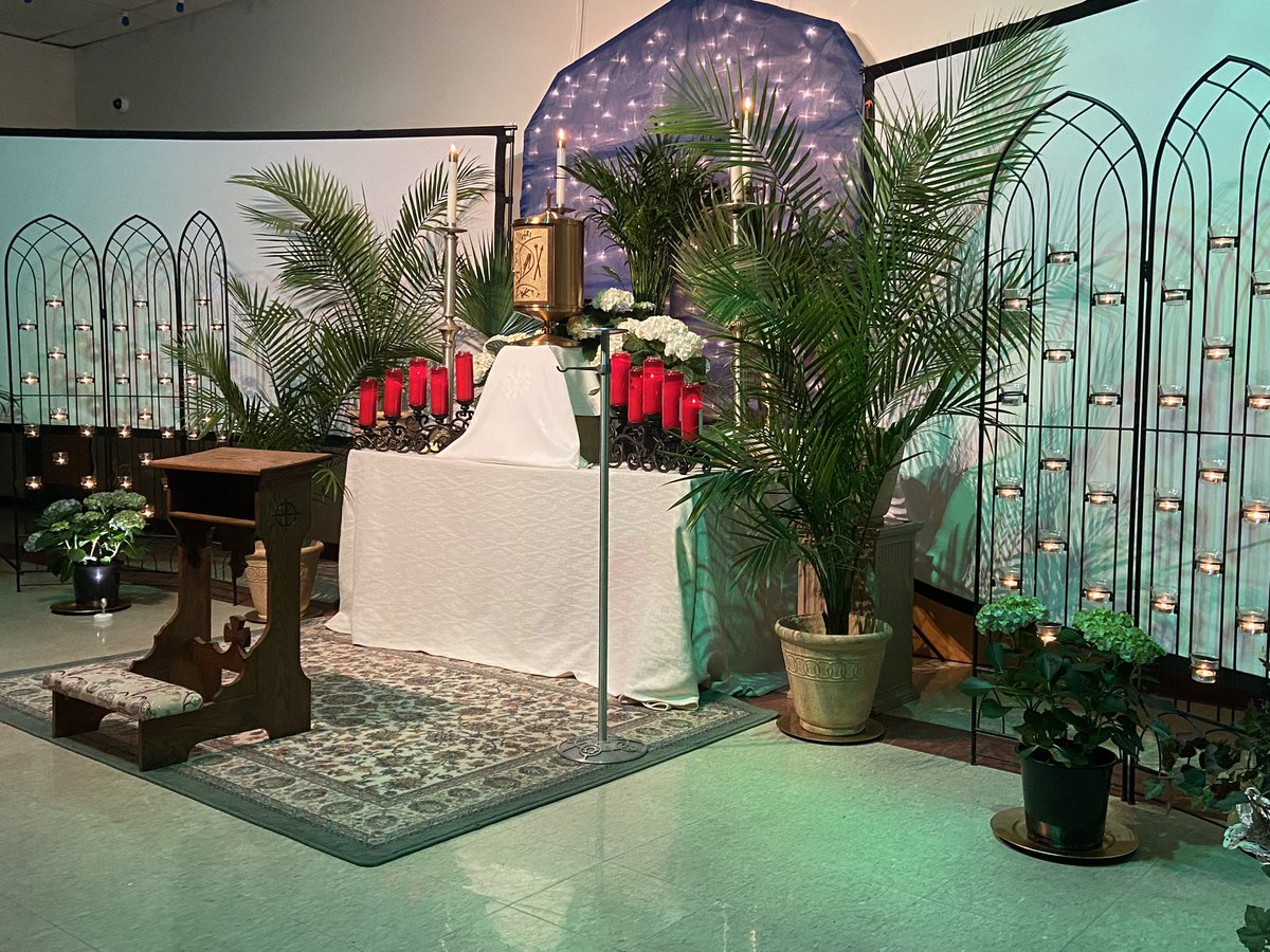 KathyCorpora's tweet photo. The mini-pilgrimage of prayer to 7 Churches after the Holy Thursday Mass of the Lord’s Supper is one of several traditions that makes the Triduum so special for me. The Altar of Repose at Assumption BVM in Northampton was particularly beautiful! See the next post for more info. https://t.co/CXi3atpl9P