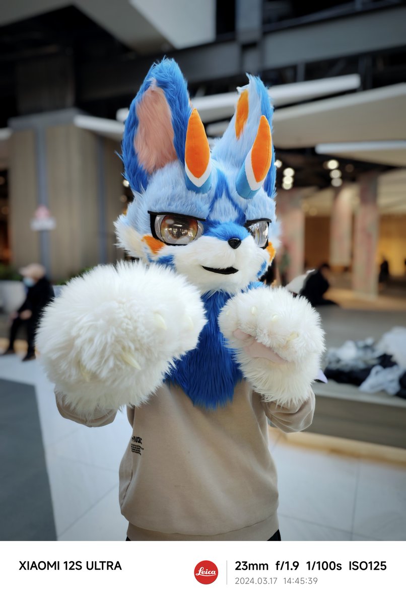 zhengze_regex's tweet image. 给你两拳OvO
摄影:木天蓼
#furry #FursuitFriday #fursuit #兽装 #毛五