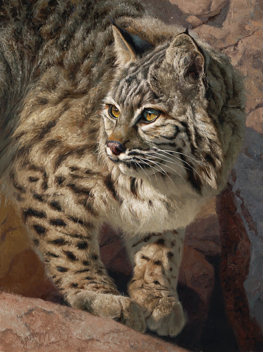 Greg Beecham Studio (@gregbeechamart) on Twitter photo New Painting!
A Cautious Step - Bobcat - 24"x18" - oil on linenboard
Prix de West 2024 <a href="/ncwhm/">Nat'l Cowboy Museum</a> New Painting!
A Cautious Step - Bobcat - 24"x18" - oil on linenboard
Prix de West 2024 <a href="/ncwhm/">Nat'l Cowboy Museum</a>