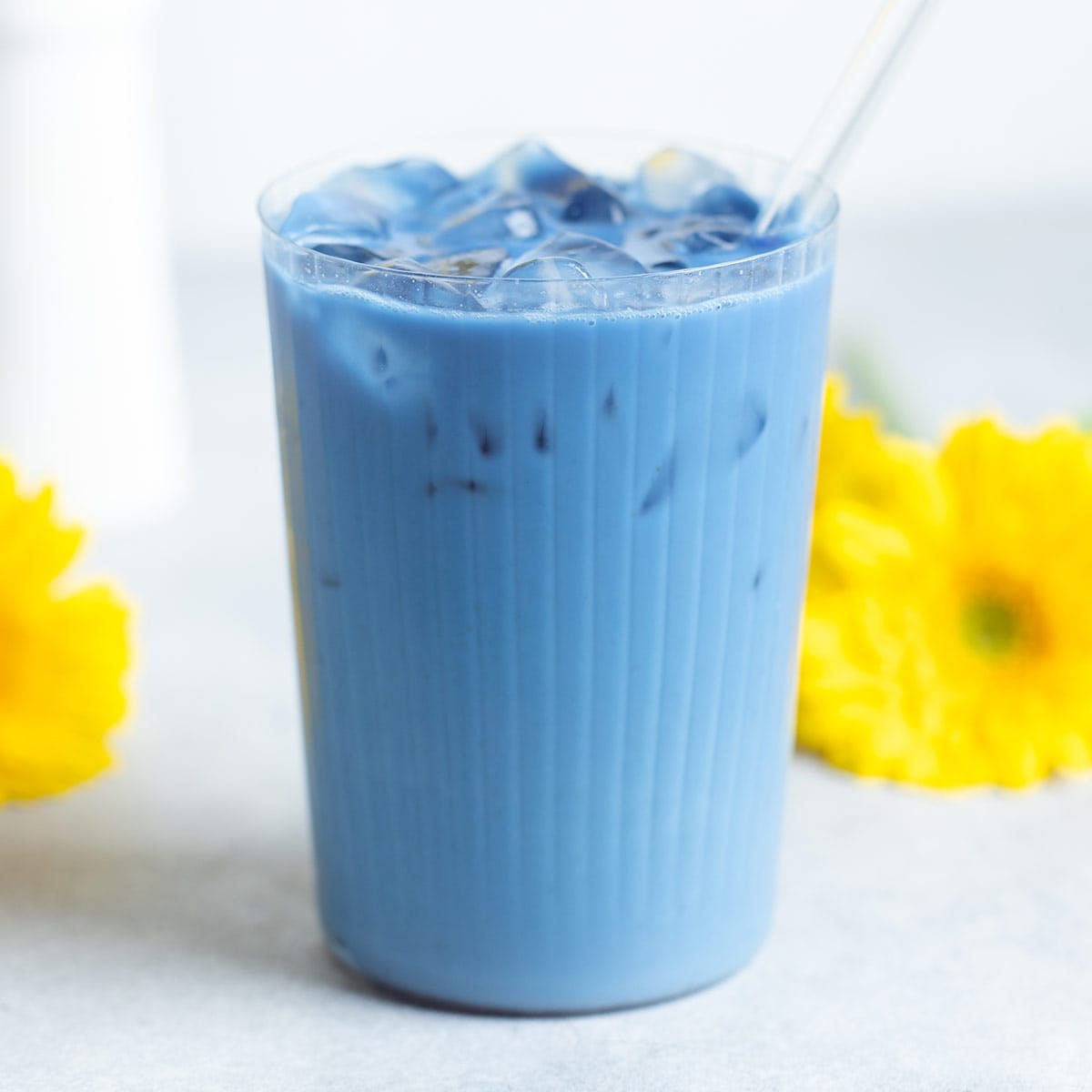 This Iced Blue Butterfly Pea Flower Latte is beautiful, delicious, easy to make, and has no caffeine! Amazing with floral syrups! #bluematcha #bluelatte thehealthfulideas.com/blue-butterfly…