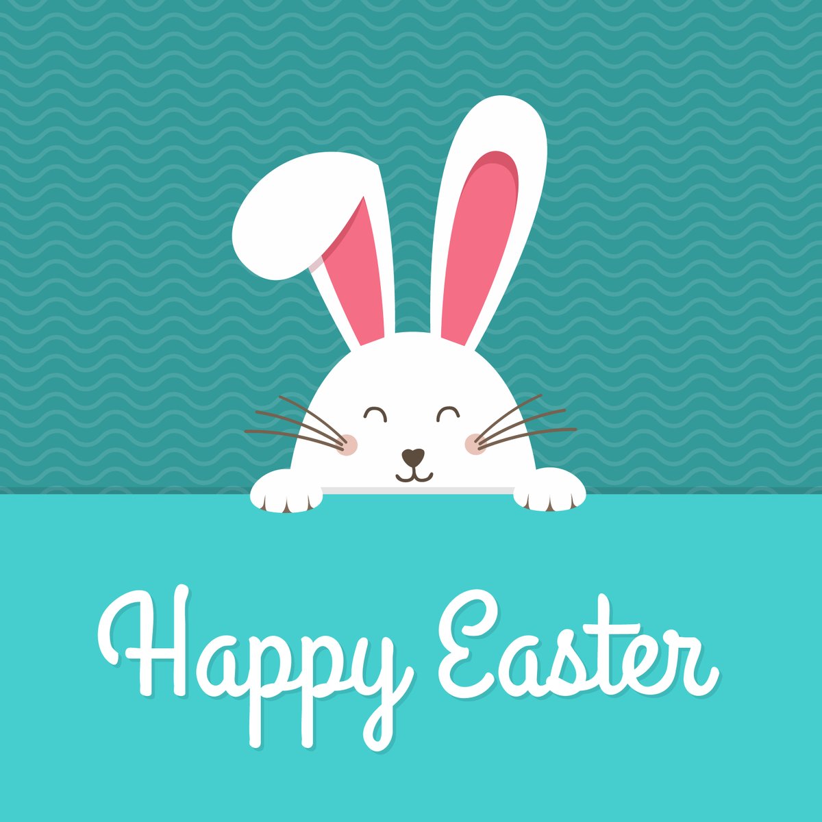 HopkinsCarpet's tweet photo. Warmest thoughts to you and your family this holiday. Happy Easter! #easter https://t.co/d01oar6RGr