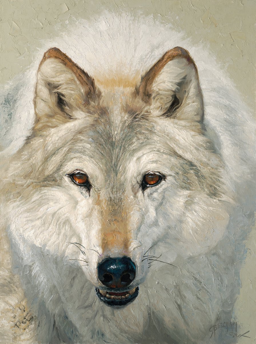 Greg Beecham Studio (@gregbeechamart) on Twitter photo New Painting!
Sunnyside - Wolf - 24"x18" - oil on linenboard
Prix de West 2024 <a href="/ncwhm/">Nat'l Cowboy Museum</a> New Painting!
Sunnyside - Wolf - 24"x18" - oil on linenboard
Prix de West 2024 <a href="/ncwhm/">Nat'l Cowboy Museum</a>