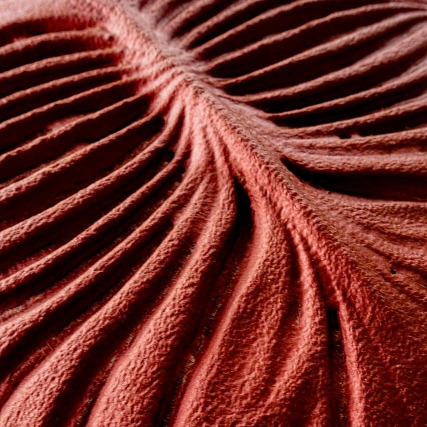 Salone del Mobile here we come!
Here is a first sneak peak of one of the products we will be showcasing during Masterly in the Dutch pavilion in the centre of Milan, at the Palazzo dei Giureconsulti (address = Piazza dei Mercanti 2, Milano). Opening hours buff.ly/3VyWoIM