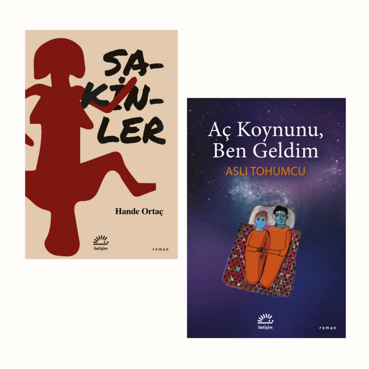 Duygu Asena Roman Ödülü'nde ödül öncesi son listeye kalan kitaplar açıklandı! Listede yazarlarımız Aslı Tohumcu ve Hande Ortaç'ın romanları da yer alıyor.