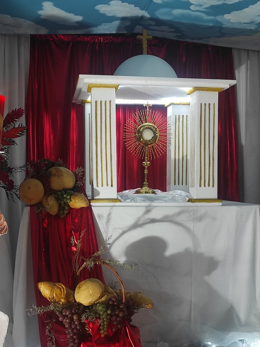 mar_deInsDivina's tweet photo. Mi Jesús Sacramentado, mi dulce amor y mi consuelo, Quién te amara tanto que de amor muriera 🙌🏻❤️‍🔥✝️ https://t.co/TNaCzN6sqo