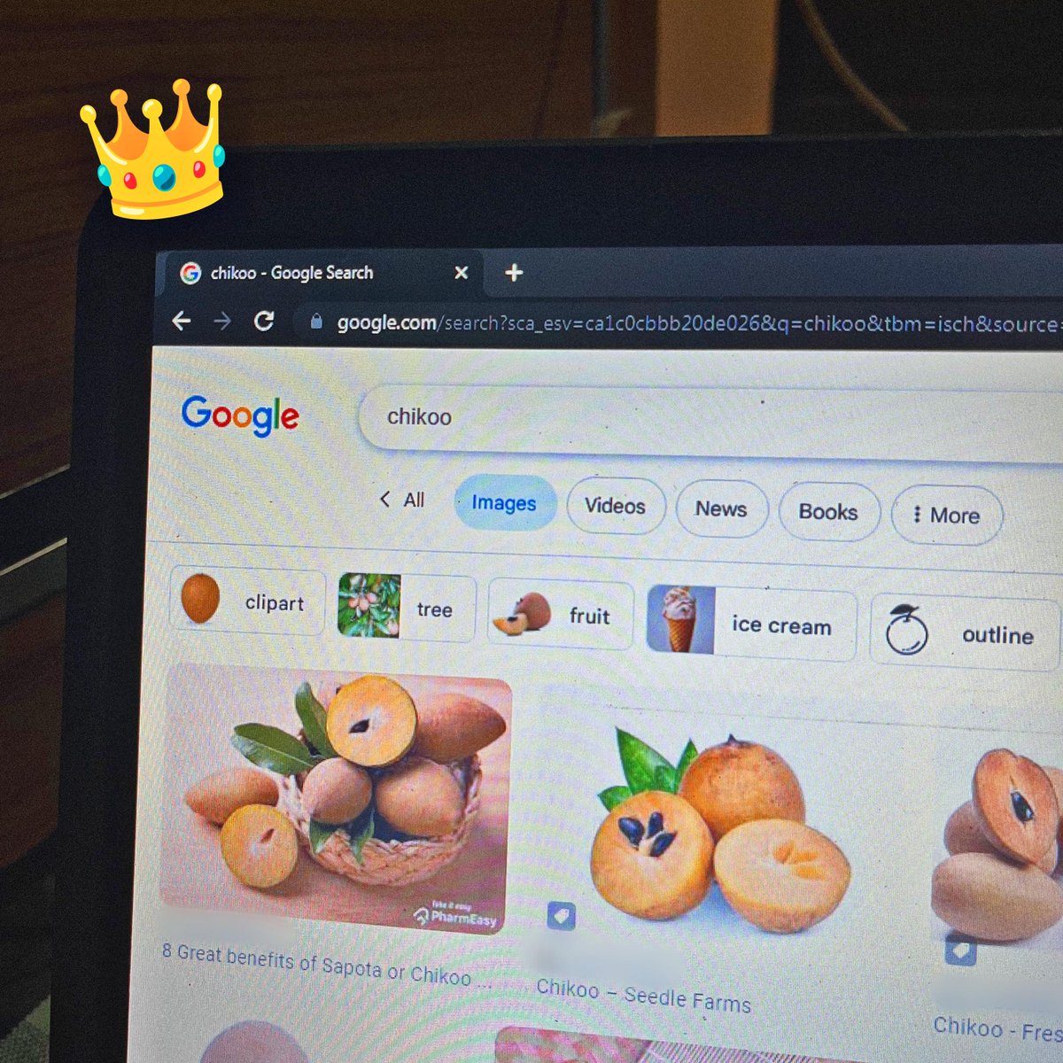 GoogleIndia's tweet photo. The 'K' in Chikoo stands for King 🥰👑🧡 
#IPL https://t.co/DJndiEmTeH