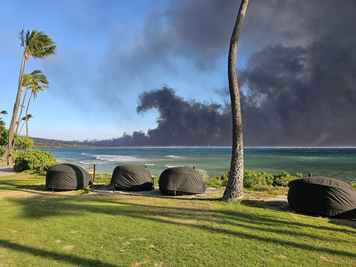 What do you want to know regarding Maui? I'm working on more content. It seems people have a lot of questions for me. I don't have all the answers. I'll tell you what I know. If I feel that speculating or giving you my opinion is helpful I'm happy to do that as well 🤙🇺🇲