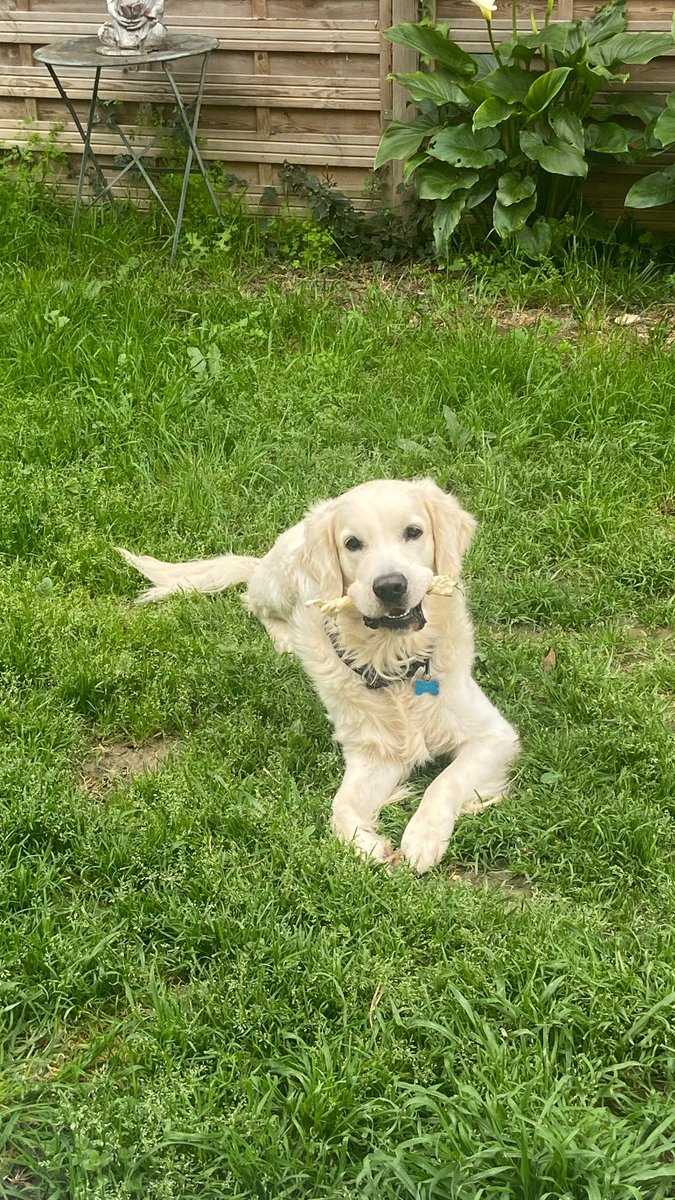 semioblog's tweet image. Nous devant #DALS ce soir #inesreg #natashastpier