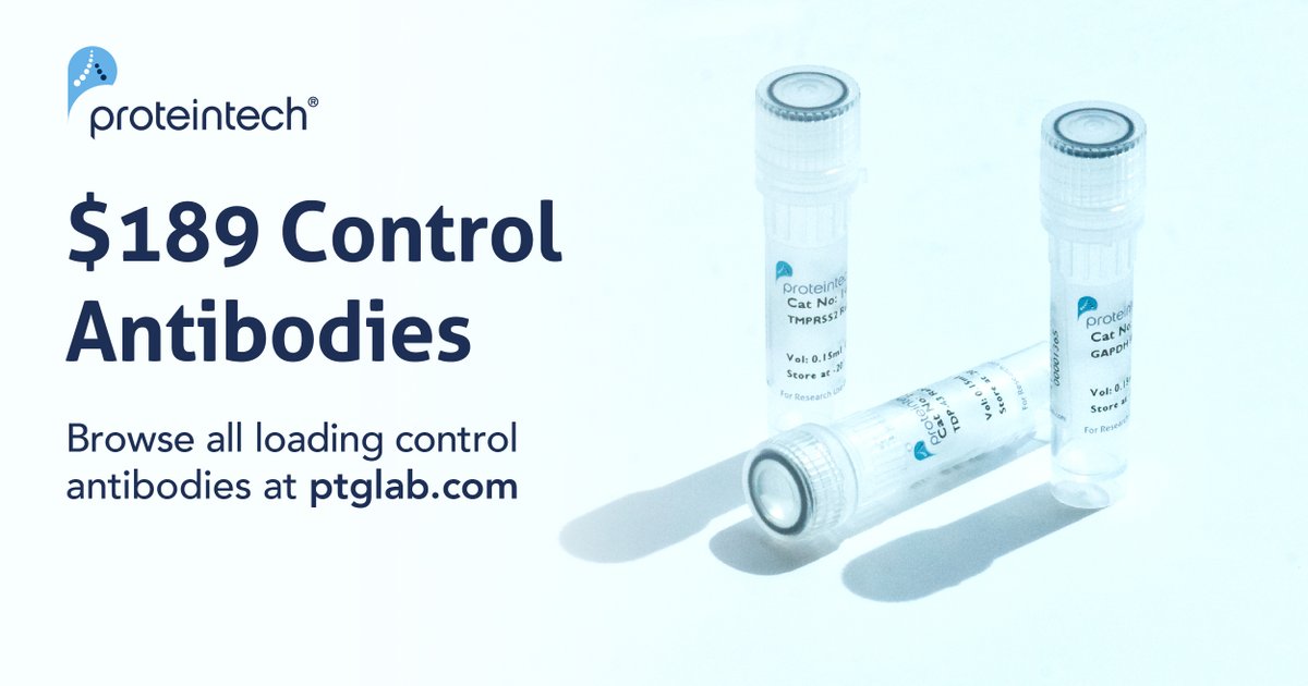 Proteintech's tweet image. Loading Control Antibodies for #westernblot just $189

Covered by the Proteintech Guarantee and include next day delivery. Order today and be performing your western blot tomorrow.

Browse all control antibodies: ptglab.com/results?q=tag+…

#controlantibodies #monoclonalantibodies