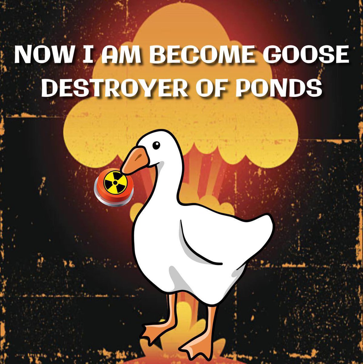 RaiderOne tweet media