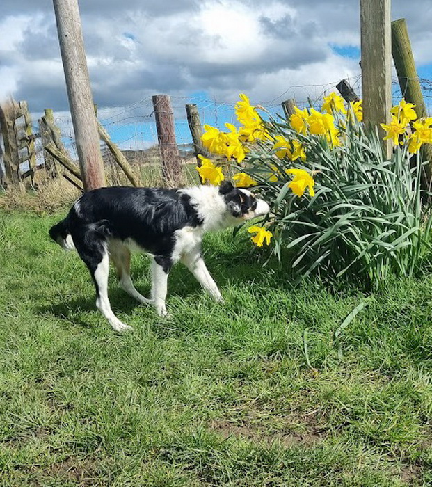 Freedom of Spirit tweet media