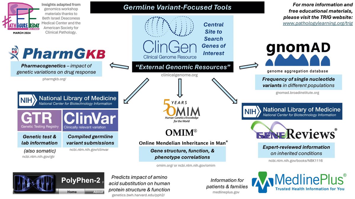 It’s #PathFigureFriday! 🧬 Here’s a diagram based on teachings from the @TheUSCAP Medical Student #Genomics Workshop. Also check out pathologylearning.org/trig! #PathTwitter #PathX #MedX #MedTwitter #genetics #germline ⬇️More: kikoxp.com/posts/27708