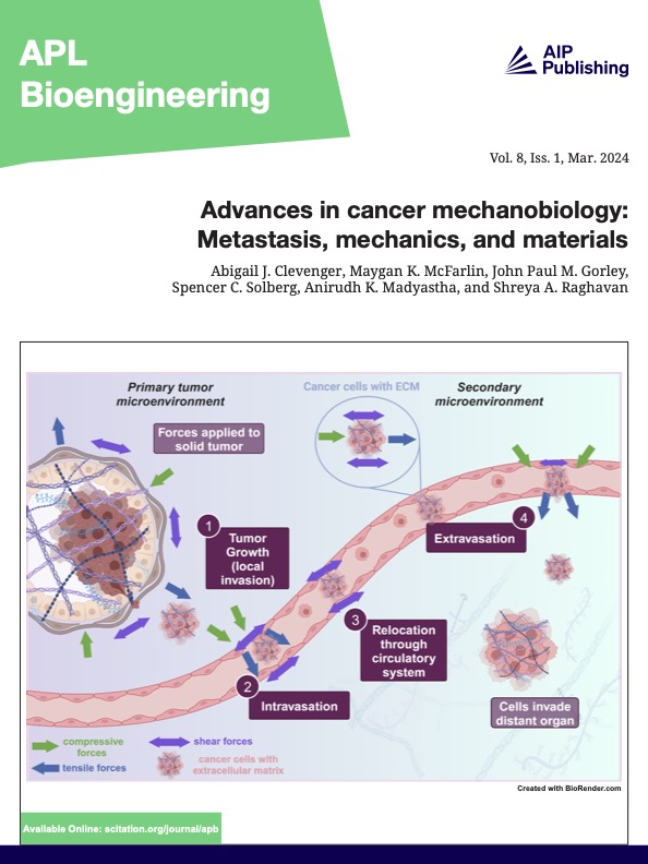LabRaghavan's tweet photo. 🚨 New paper out in @aplbioeng  - special for many reasons
1⃣ @abbieclev  led a team of @bmentamu undergrads to review recent advances in cancer #mechanobiology
2⃣ Graphic made by undergrad Maygan McFarlin was picked to be the cover!

Read here: https://t.co/F2OMwMrPO6
More in 🧵 https://t.co/xyZR5HfoKR