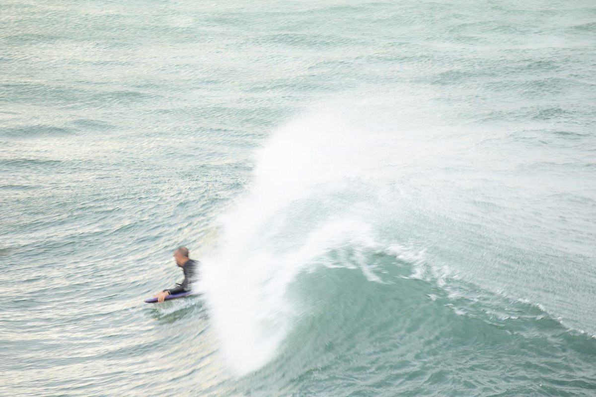 Beatriz González tweet media