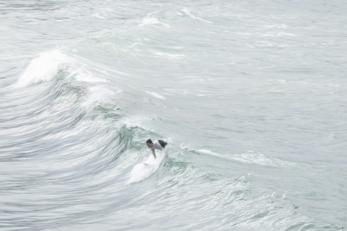 Beatriz González tweet media