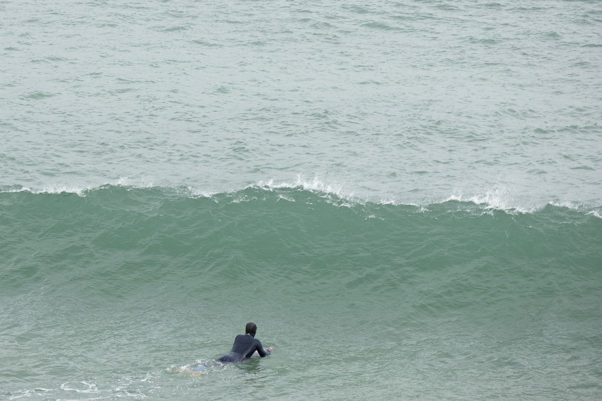 Beatriz González tweet media