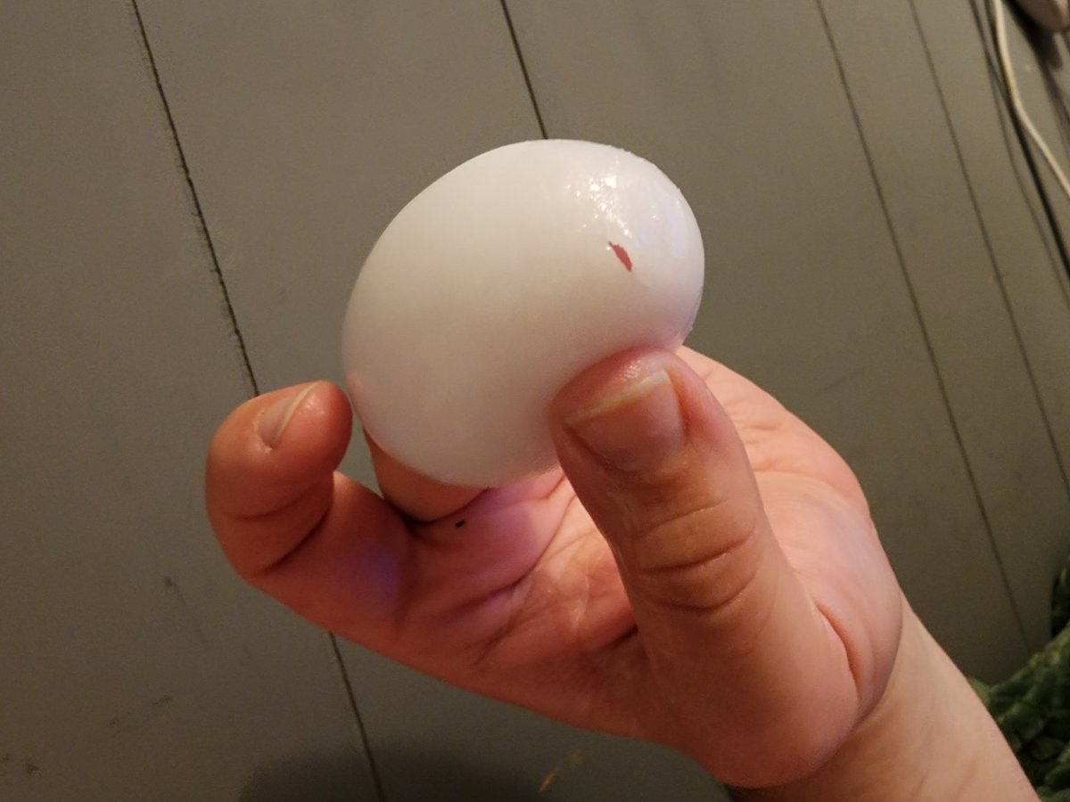 Sentaiaddict's tweet photo. So horny I broke the knock off tenga egg I just bought an hour ago.... https://t.co/zs4zbHWqbC