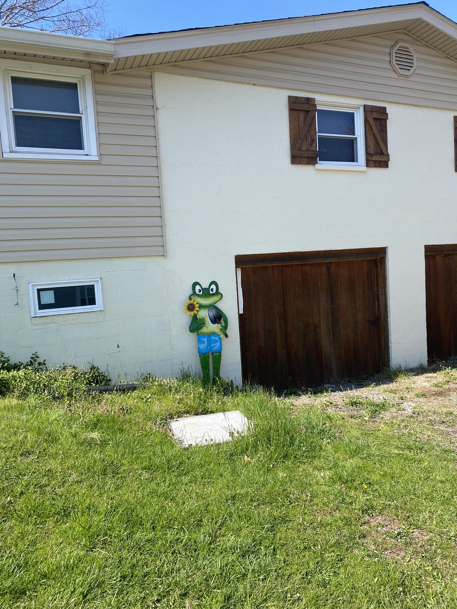 May have added a 5+ foot tall #frog friend to my humble abode