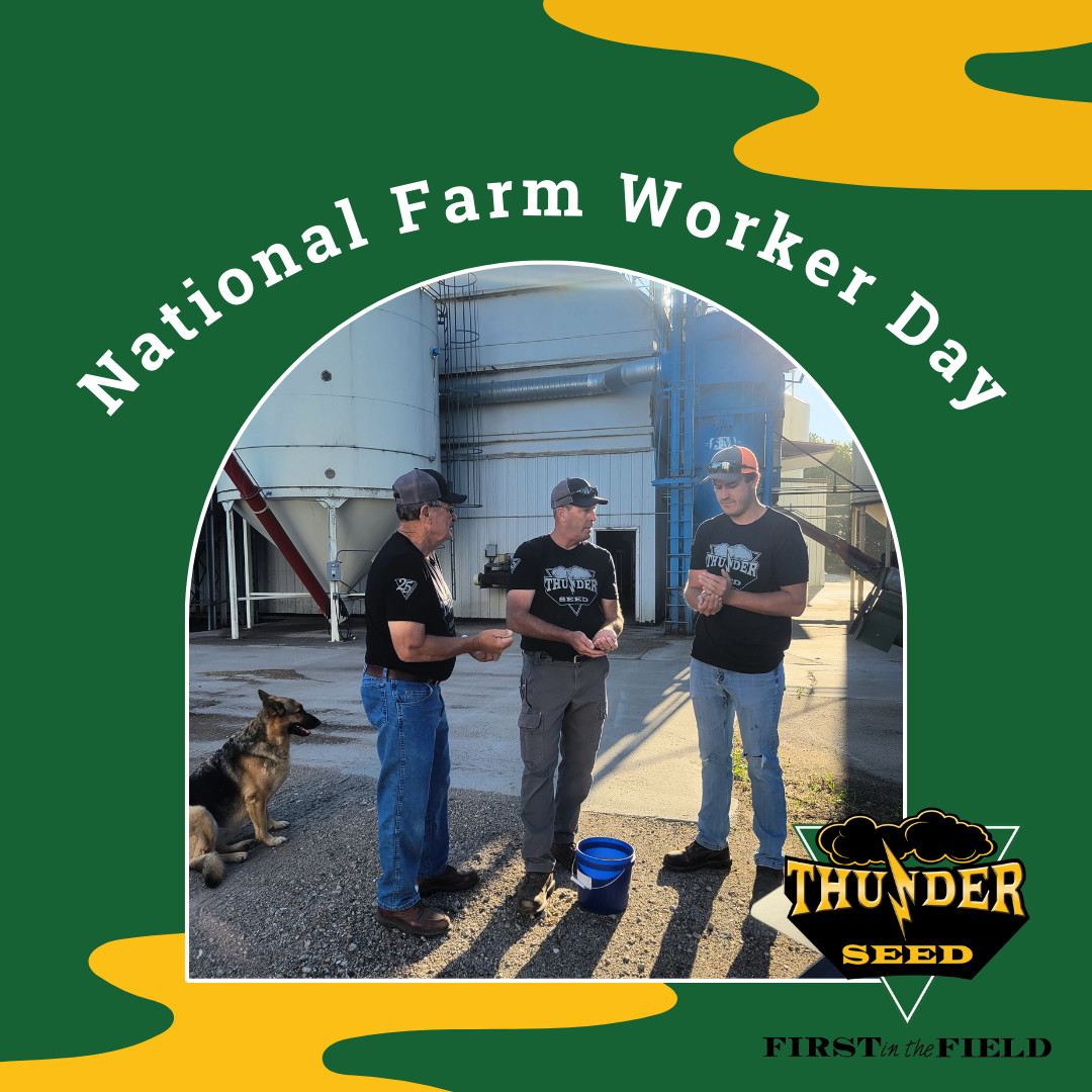 National Farm Worker Day is on Sunday, March 31st. Let's show appreciation for the farmers who work long hours to ensure food security. Thank you! 🙏🏼 #nationalfarmworkerday #thunderseed #firstinthefield