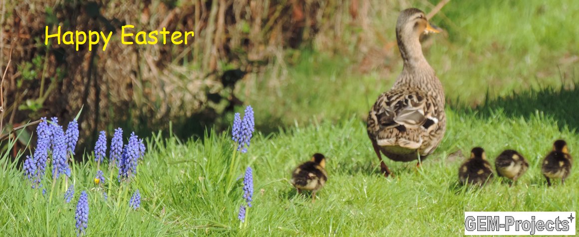 Gem_projects's tweet image. 