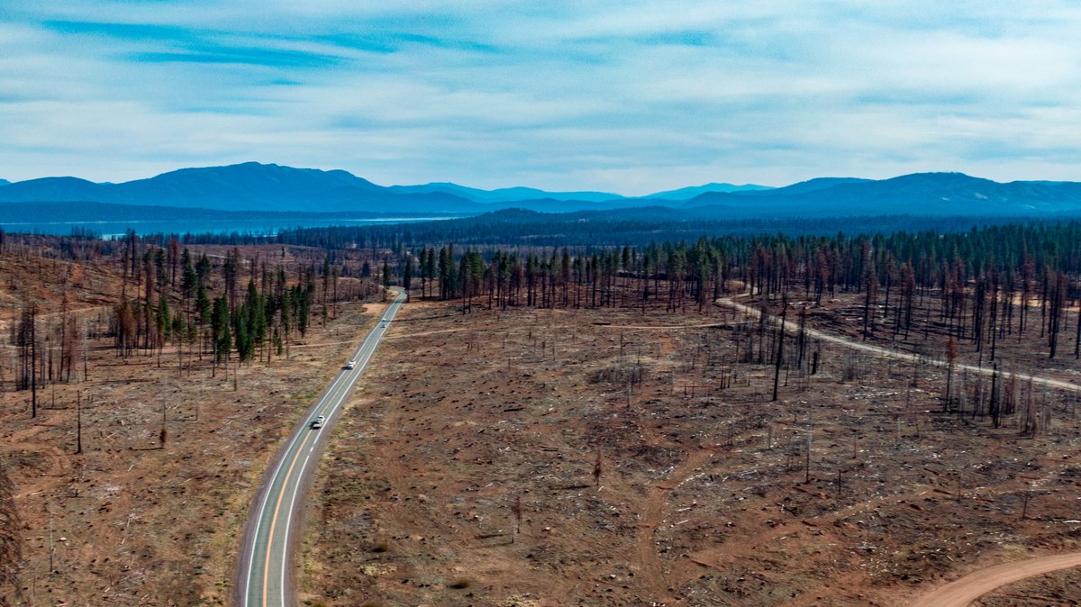 The legacy of past land-use decisions & climate change have led to stark changes for many Sierra-Cascade landscapes & communities. Megafires are burning larger & hotter than historical fires, leaving behind huge landscapes of blackened trees. Learn more: sierranevada.ca.gov/what-we-do/20-…