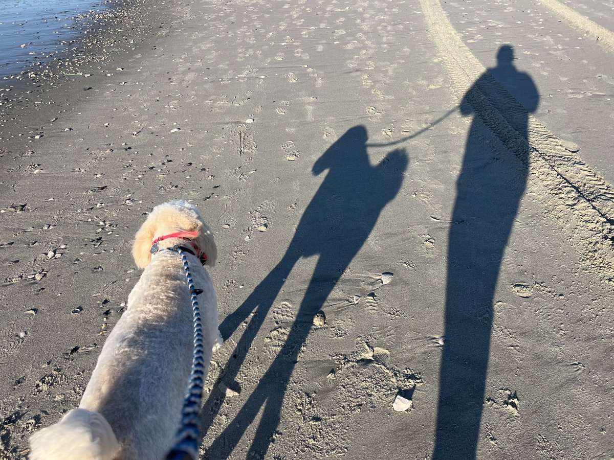 pdshistory's tweet photo. Sunrise run on a beautiful day! https://t.co/eEiN2PEcBQ